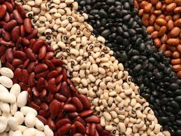 BEANS AND SEED PRODUCTS